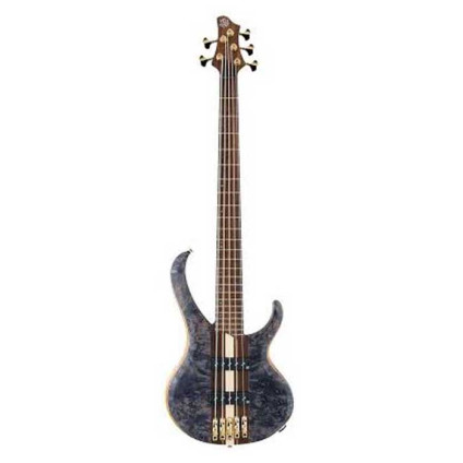 قیمت خرید فروش سیم گیتار باس 5 سیم Ibanez BTB1605 DTF